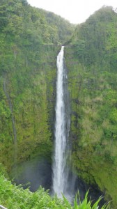 ハワイ島MOTチャーター・お客様の声（ハワイ島マイカイ・オハナ・ツアー）