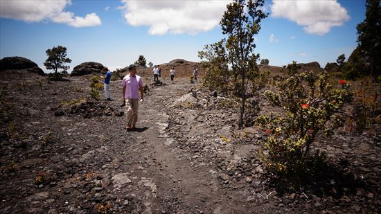 ハワイ島観光ツアー『ザ・朝火山ツアー』リポート　9月5日