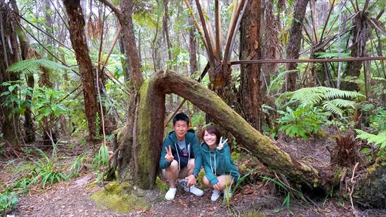 ハワイ島観光ツアー『キラウエア・アドベンチャー』リポート9月30日（ハワイ島マイカイオハナツアー）